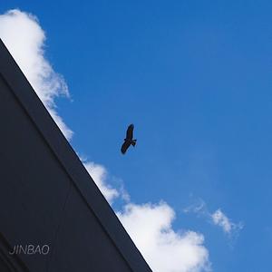 日本人被黑人操
