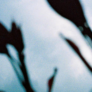 日本人被黑人操
