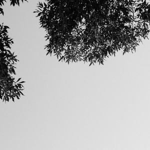 日本人被黑人操
