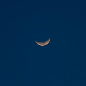 日本人被黑人操
